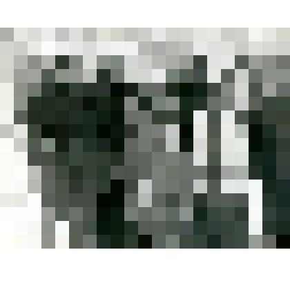 Фотография. Группа тунгусов в урочище Няльгя