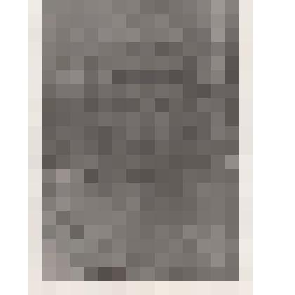 Фотография. Бурцев Яков Григорьевич, участник ВОВ, Матвеевский с/с