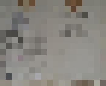 Временное удостоверение