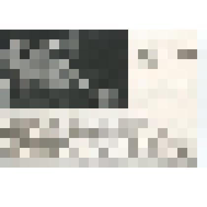 Открытка.  Л.Н.Толстой на смертном одре.Репродукция с фото В. Чеховского.  Астапово. 7 ноября 1910 г