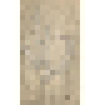 Растения Енисейского округа Енисейской губернии