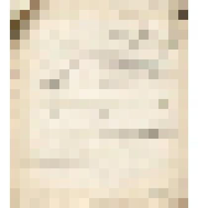 Телеграмма № 6528 в г. Чердынь В.Н.Алину от Брызгалова из г. Перми, 20.09.1906