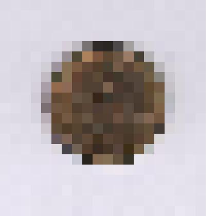 Монета достоинством 2 копейки 1985 года