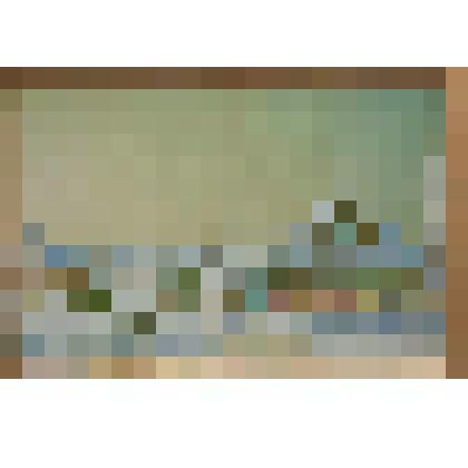 Жизнь на земле