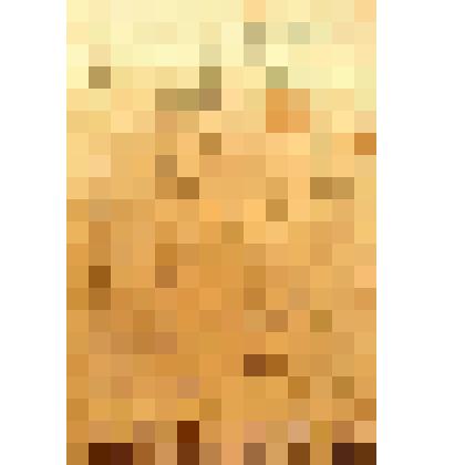 Эскиз для иконы. Пятый Вселенский Собор