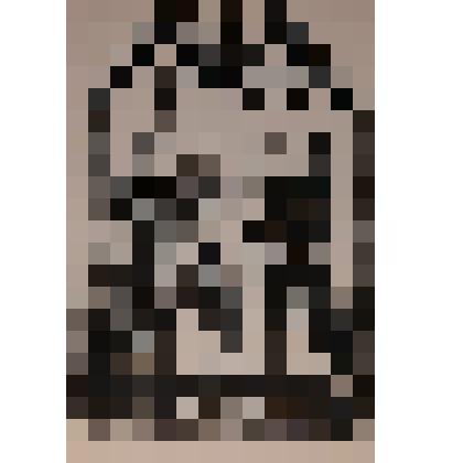 Из книг А.В. Улитина