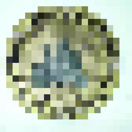 Тарелка. Собор  Василия Блаженного