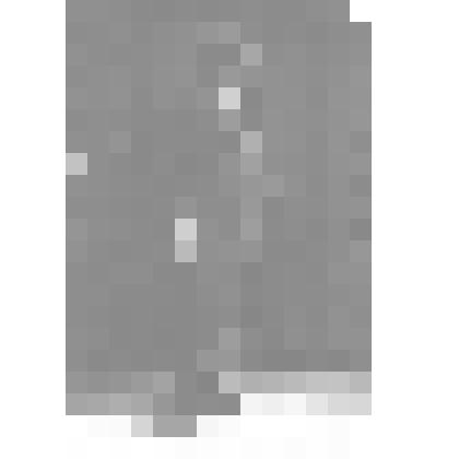 Фото. Бобров С.П