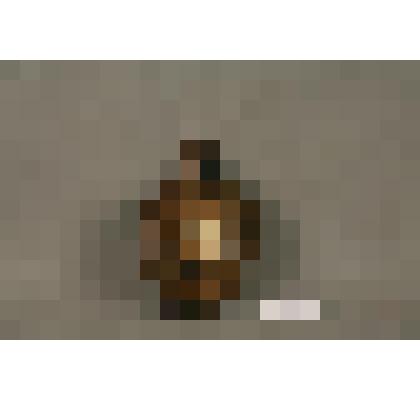 Пороховница