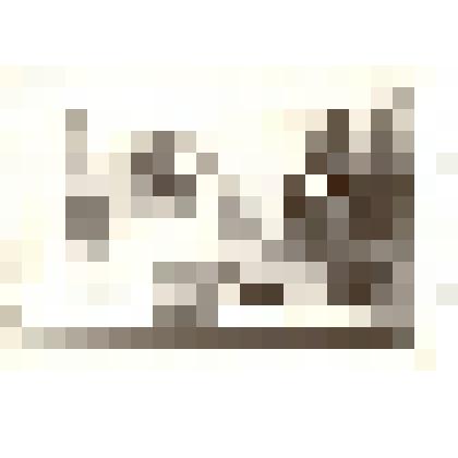 Фотография: экспозиция Каменского краеведческого музея