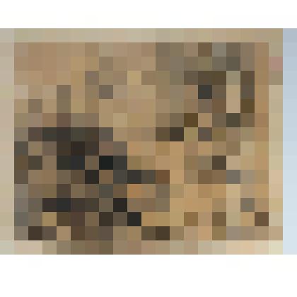 Портрет А. Г. Ромма