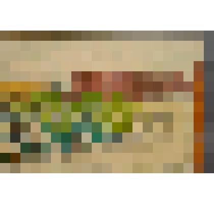 Вид Зимнего дворца и Адмиралтейства