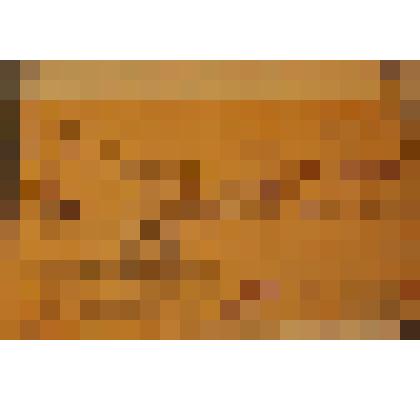 Извещение на пропавшего без вести Шишнева Павла Фроловича. СССР. ноябрь 1942 года