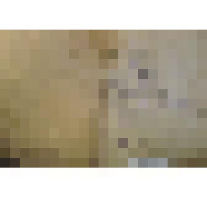 Трудовая книжка "Трудовая книжка Попова К.А."