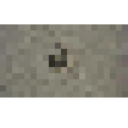 Значок  "Юный друг прирроды"