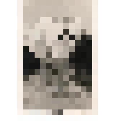 Фотография черно - белая групповая. Медсестра санатория «Ливадия» Вьюшичева Н.Н. с женщиной на фоне западного фасада Ливадийского дворца