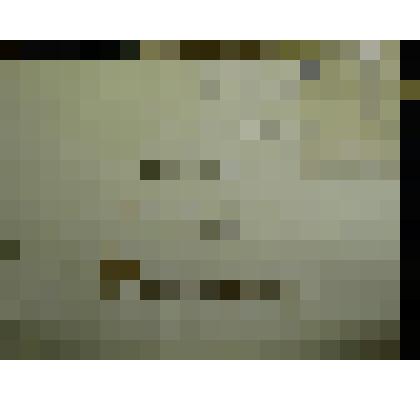 Гербарий. Мелколепестник, гербария М.И.Губельмана