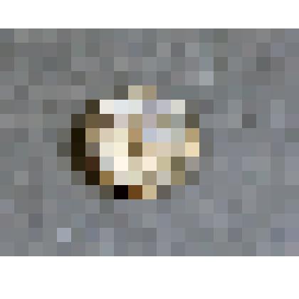 Пломба Николаевской железной дороги "Москва тов.", от 6 января 1908 г. из коллекции торговых железнодорожных пломб