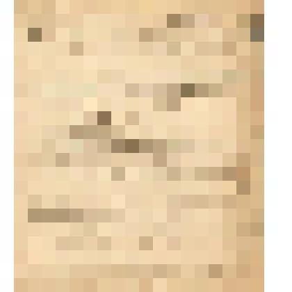 Телеграмма № 1002 в г. Чердынь В.Н.Алину от Ржевина из г. Перми, 30.09.1906 г