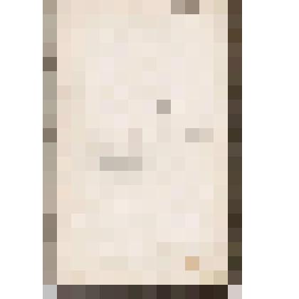 Инвентарь имуществу на золотых приисках Чердынского 1-й гильдии купца Василия Николаевича Алина, 10.03.1896 г