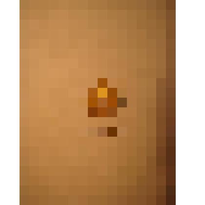 Жетон с изображением Л.Н.Толстого