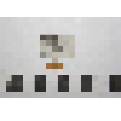 Перстня щиток