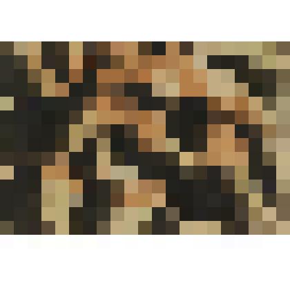 Из каталога человеческих страстей и эмоций