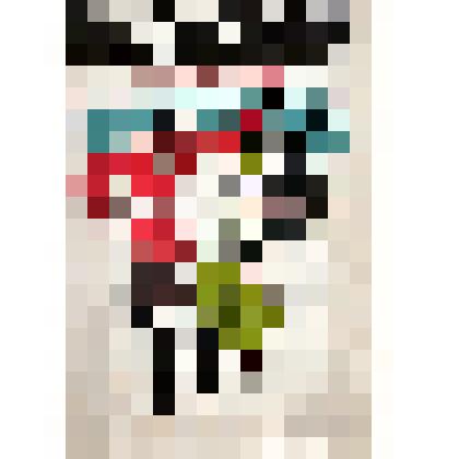 Журнал на французском языке, посвященный творчеству и зарубежным гастролям балетной труппы под управлением Ирины Гребиной.Из коллекции Л.С.Брижатовой