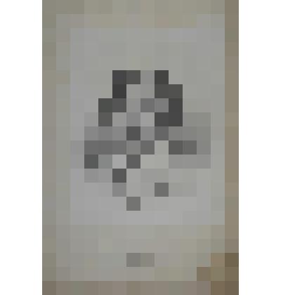 Портрет. Гоголь Николай Васильевич