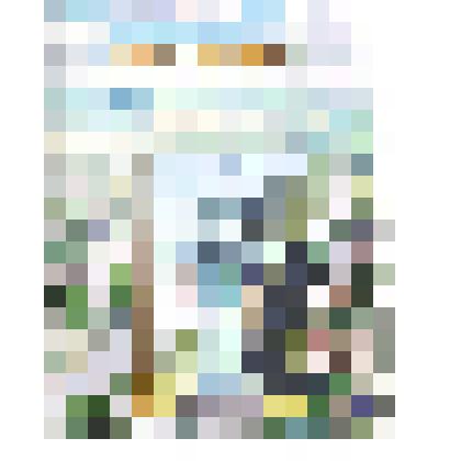 Книга Г. И. Забегайлов "Земля предков - не чужая земля"