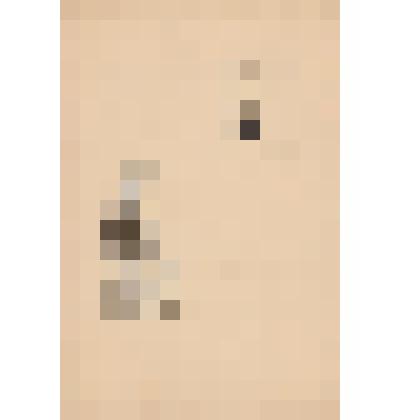 Иллюстрация к повести Кассиля Л.А. "Кондуит и Швамбрания". Графика