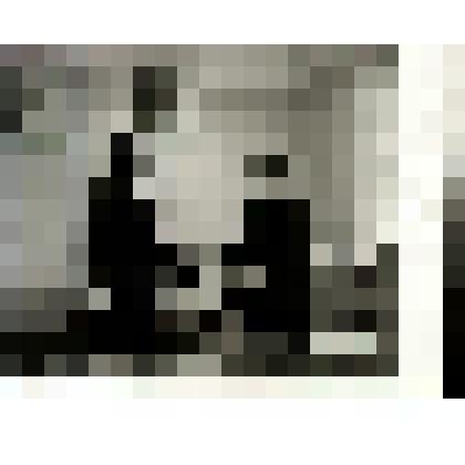 Фотография сюжетная. Костылева Пелагея Даниловна с 1-м секретарем ГК КПСС Тишкиным Н.М