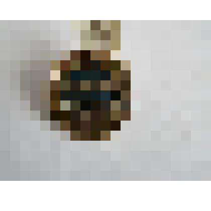 Значок "Телецкое озеро"