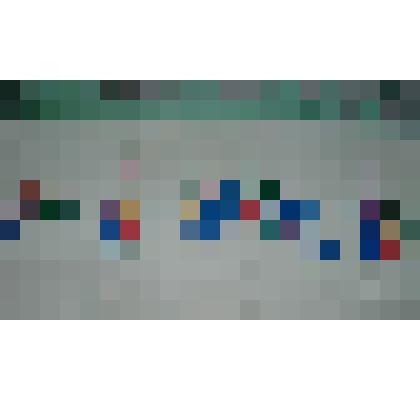 вышивка на белой ткани,изображены ласточки