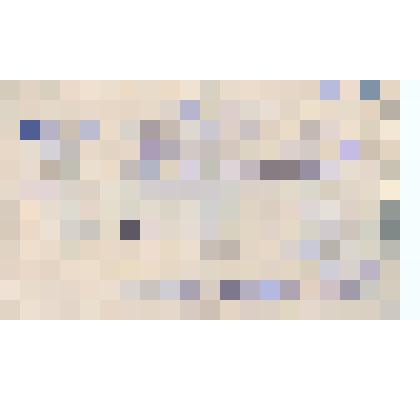 Удостоверение №487 в том, что Федор Налимов есть секретарь райкома Р.Л.К.С.М. с правом в пределах Кипринского района проводить собрания ячеек Р.Л.К.С.М. и беспартийной молодежи