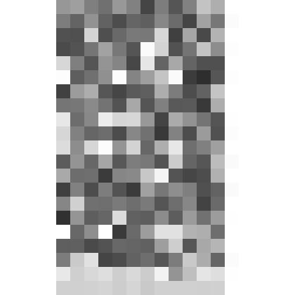 Открытка. Санкт-Петербург. Памятник Крылову