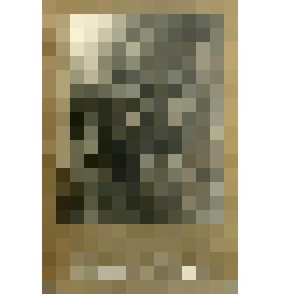 Фотоотпечаток: Портрет красноармейца