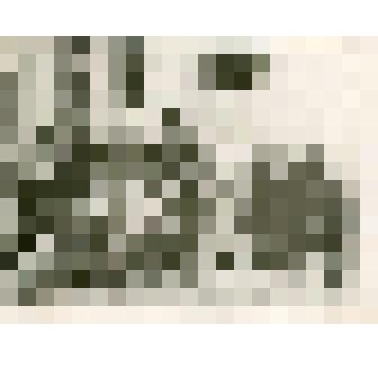 Фотография ч/б