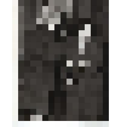 Фото.Секретарь РК КПСС Рощупкин И.П. вручает Почётную грамоту Плаховой А.А.,передовику производства РПУ