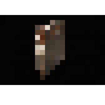 Книга старопечатная. Букварь славено-греко-латинский.  М., Печатный двор, 1701