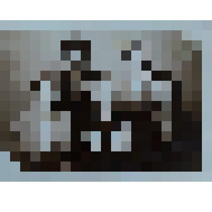 Фотография черно-белая с изображением мужчины и четырех женщин