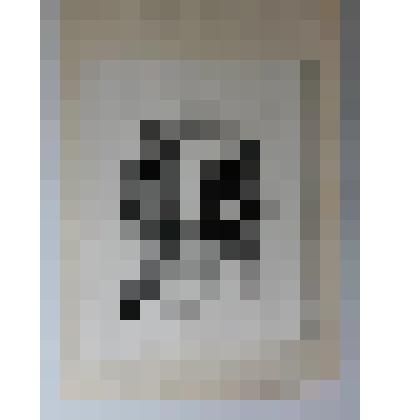 Е (единение)