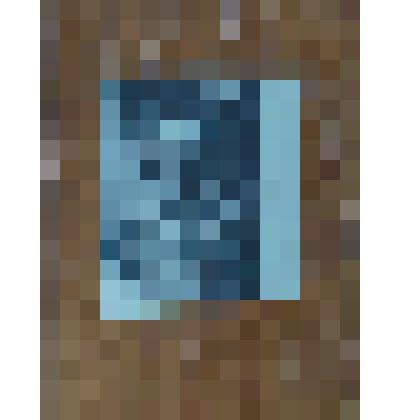 Фотография черно-белая с изображением участника гражданской войны Долженко Н.А. в клетчатой рубашке