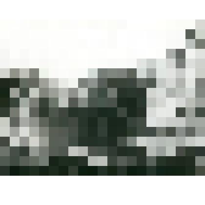 Фотография. Разделка рыбы. Песок ок. «Столба»