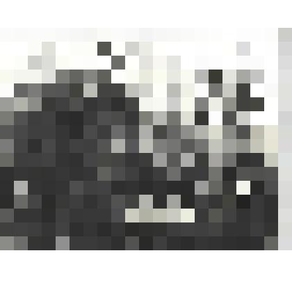 Фотографии. Фото ч/б. Война окончена. Танкисты отдыхают. Берлин, май 1945 г