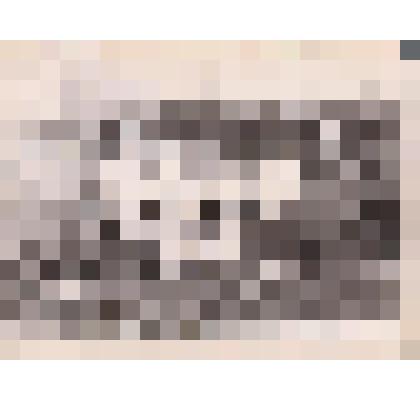 Ч/б глянцевая фотография участников ансамбля "Пеледыш" ("Цветок")