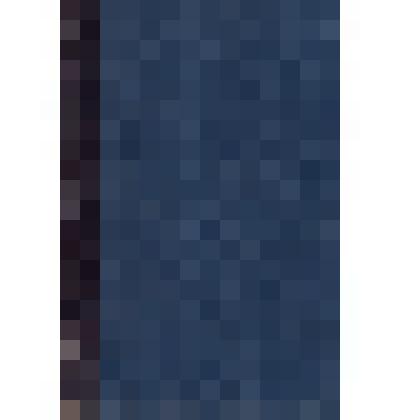 Книга. Новый энциклопедический словарь Брокгауз-Ефрон. Пятый том