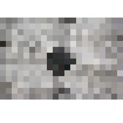 Сибирская монета "Полушка"