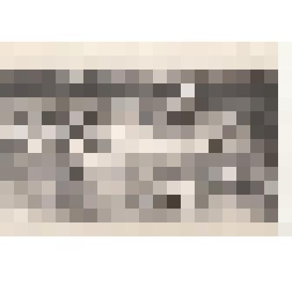 Фото/чб. Территория Энгельсской опытно-мелиоративной станции ВНИИГиМ. Установка электровышки. 1960-е