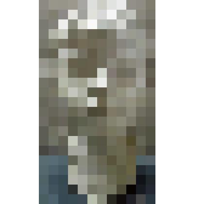 Портрет сына